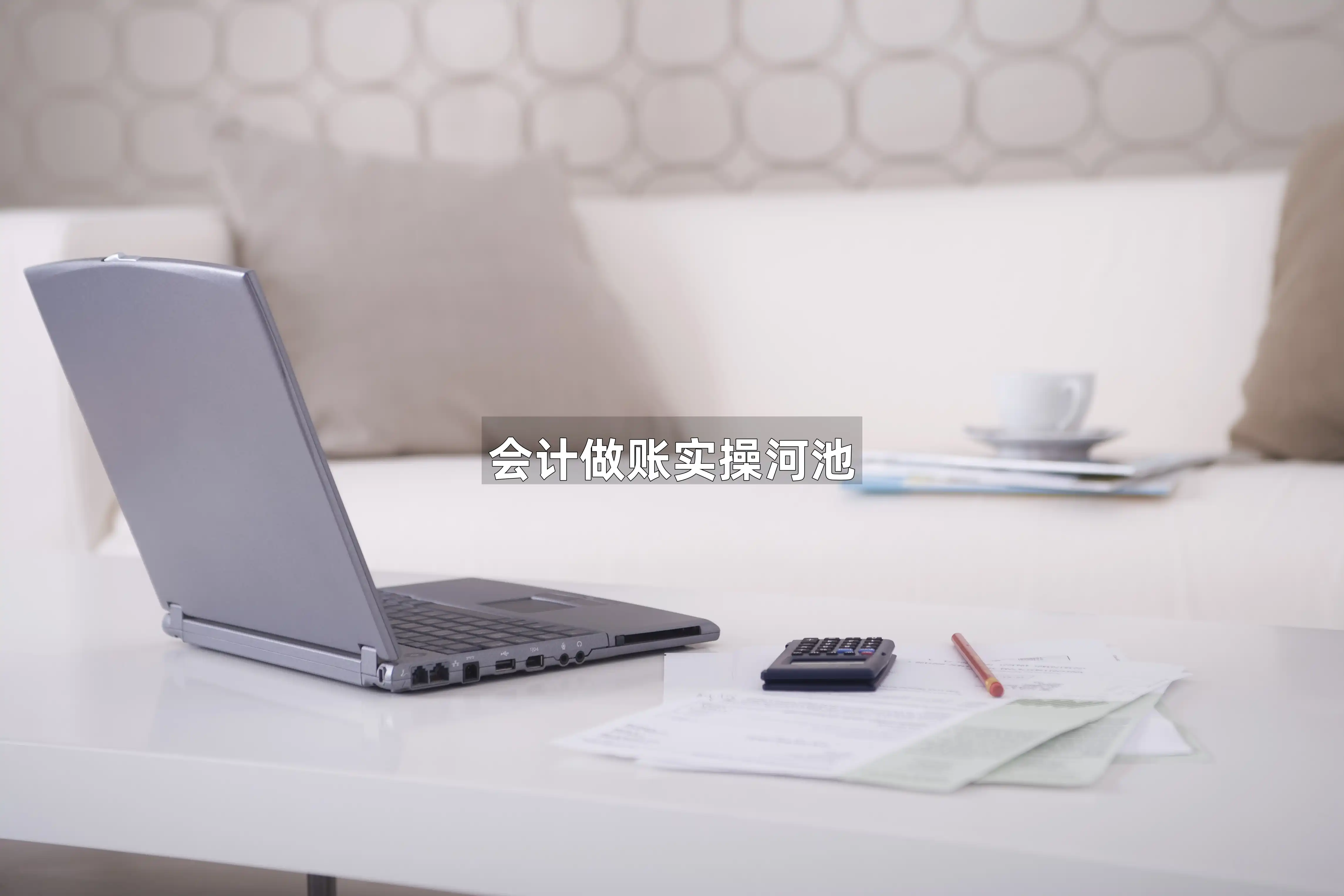 会计做账实操河池