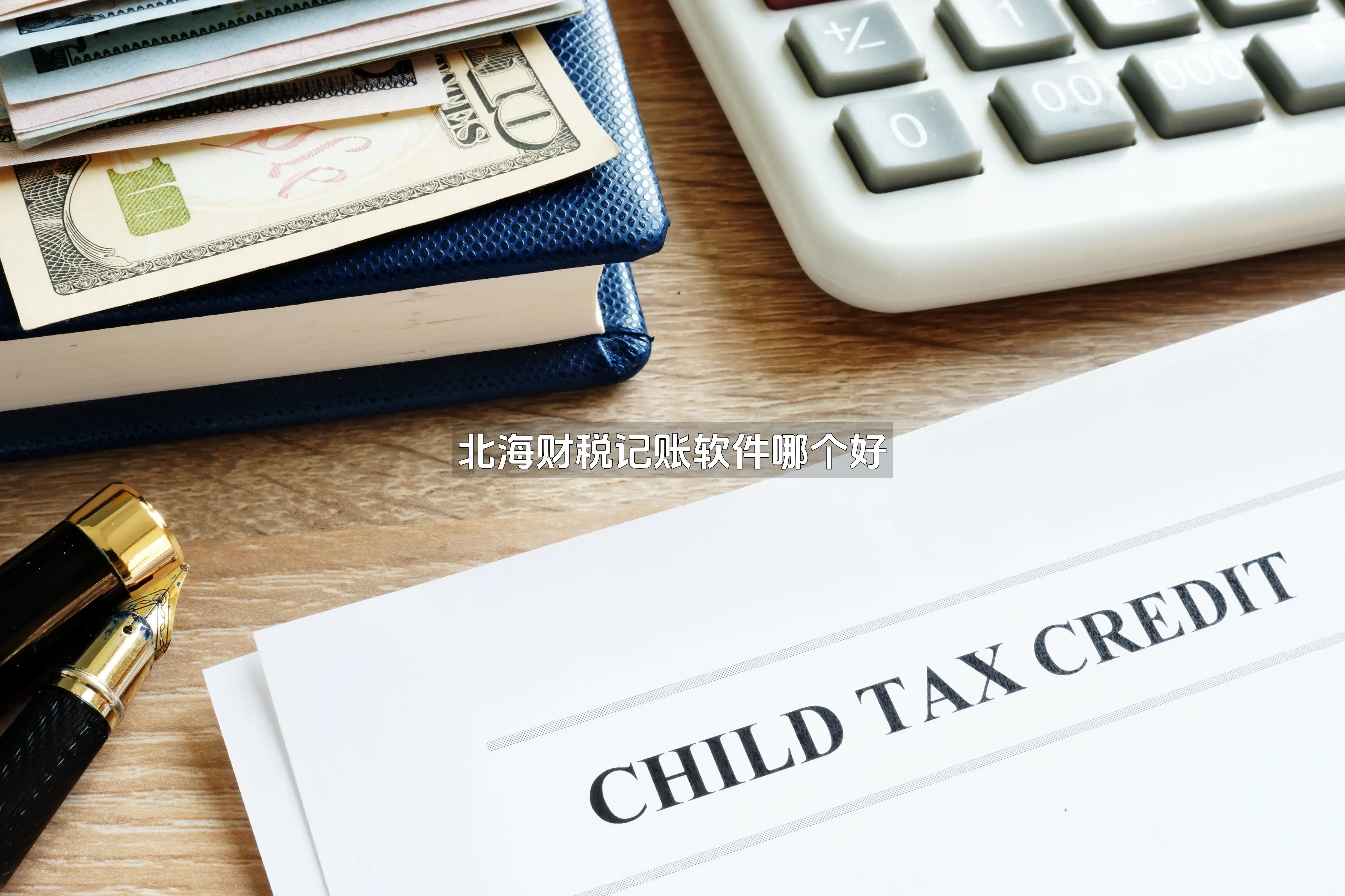 北海财税记账软件哪个好