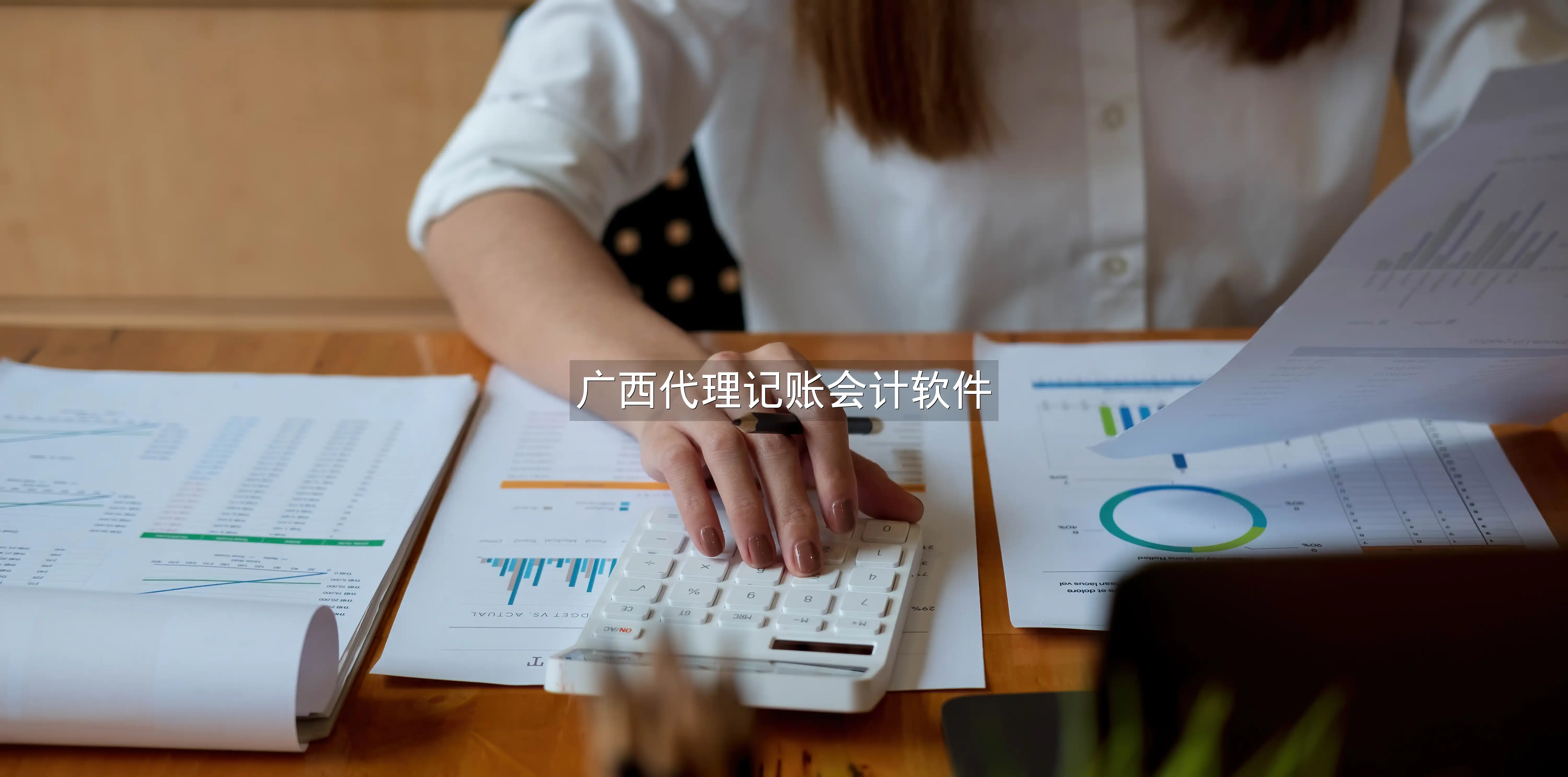 广西代理记账会计软件