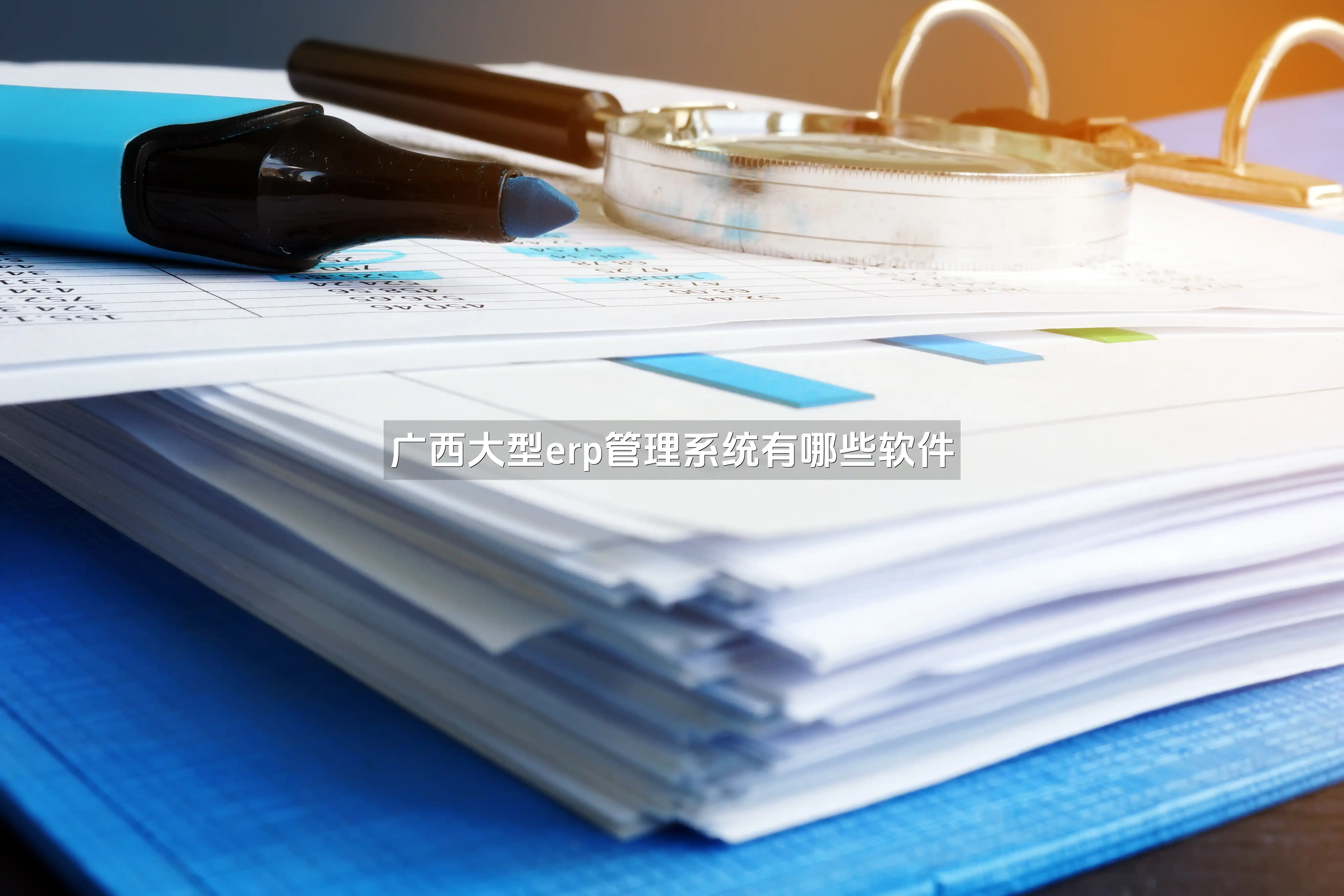 广西大型erp管理系统有哪些软件