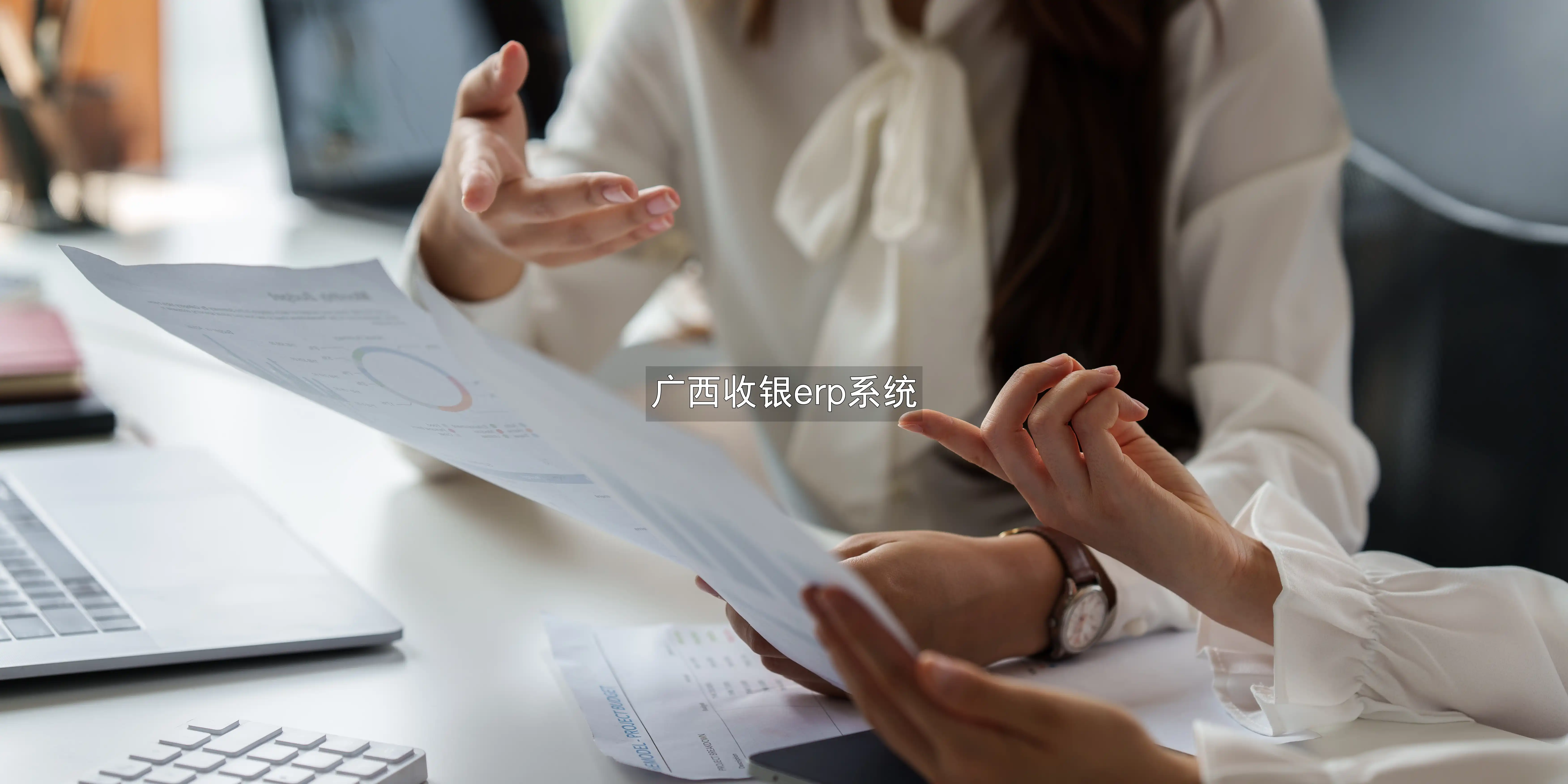 广西收银erp系统