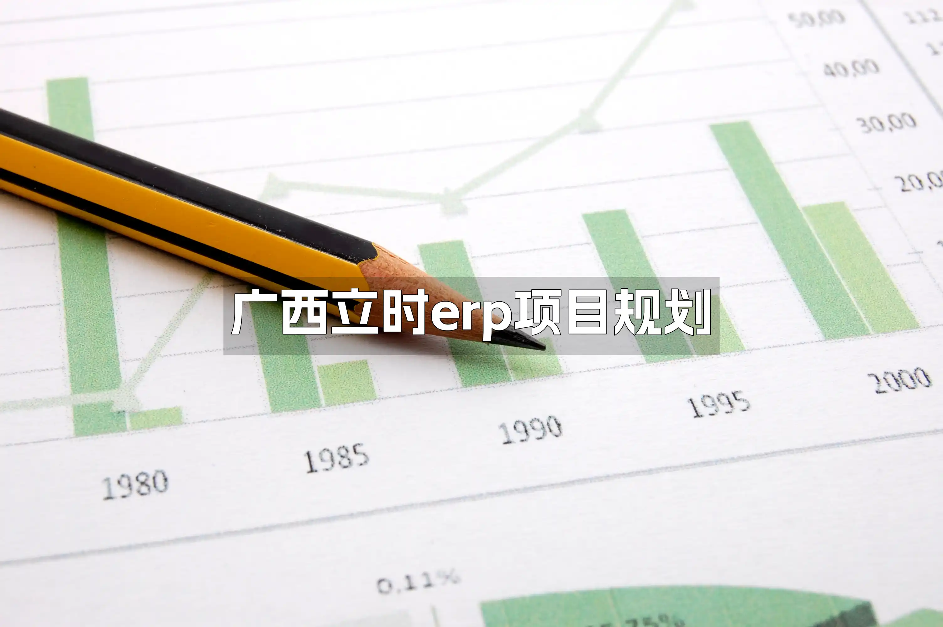 广西立时erp项目规划