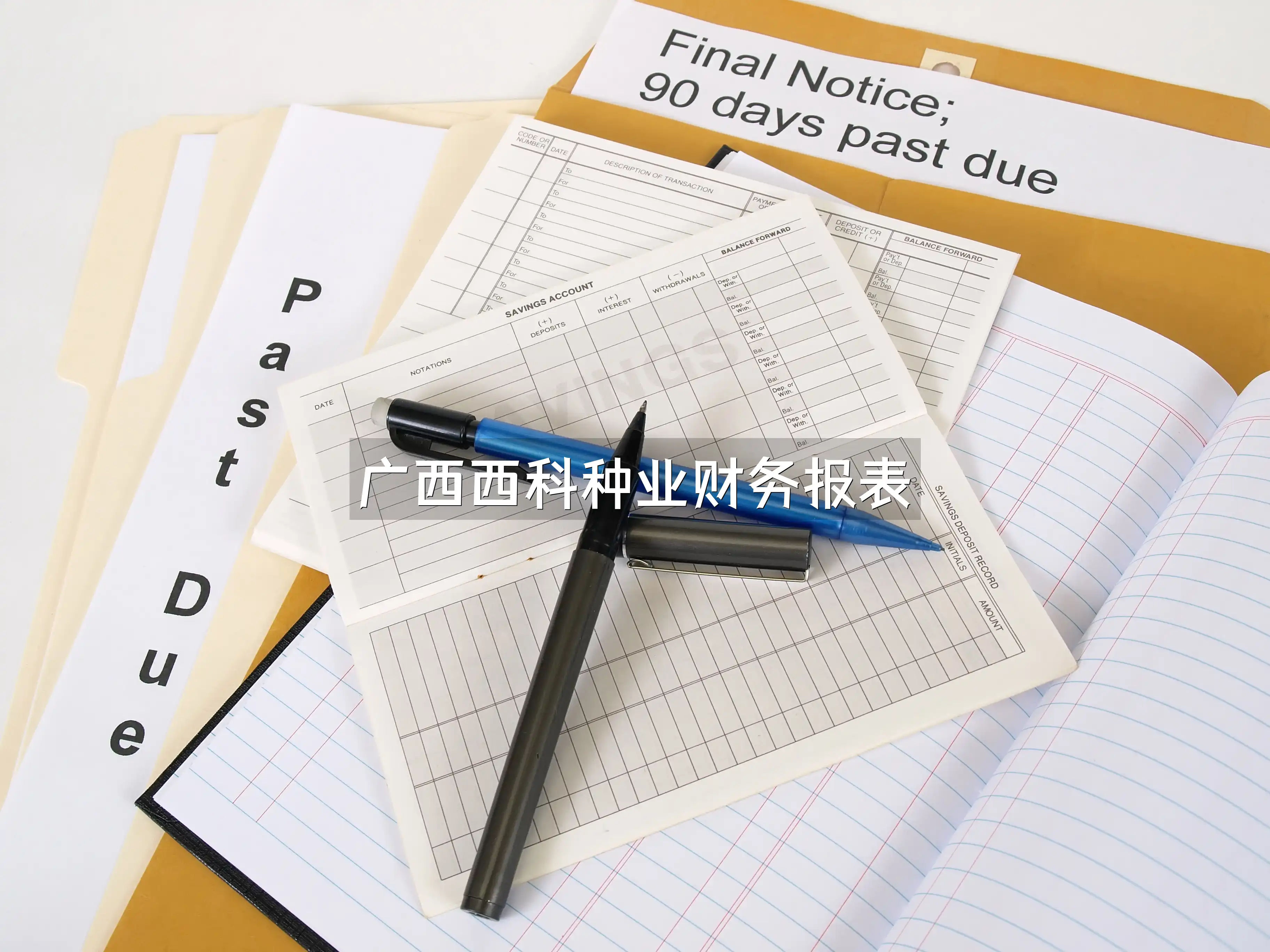 广西西科种业财务报表