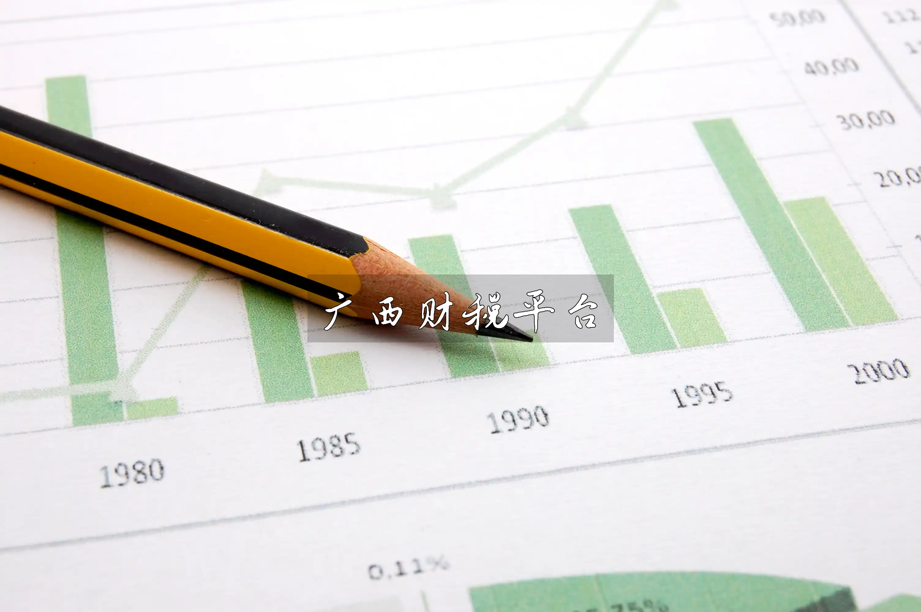 广西财税平台