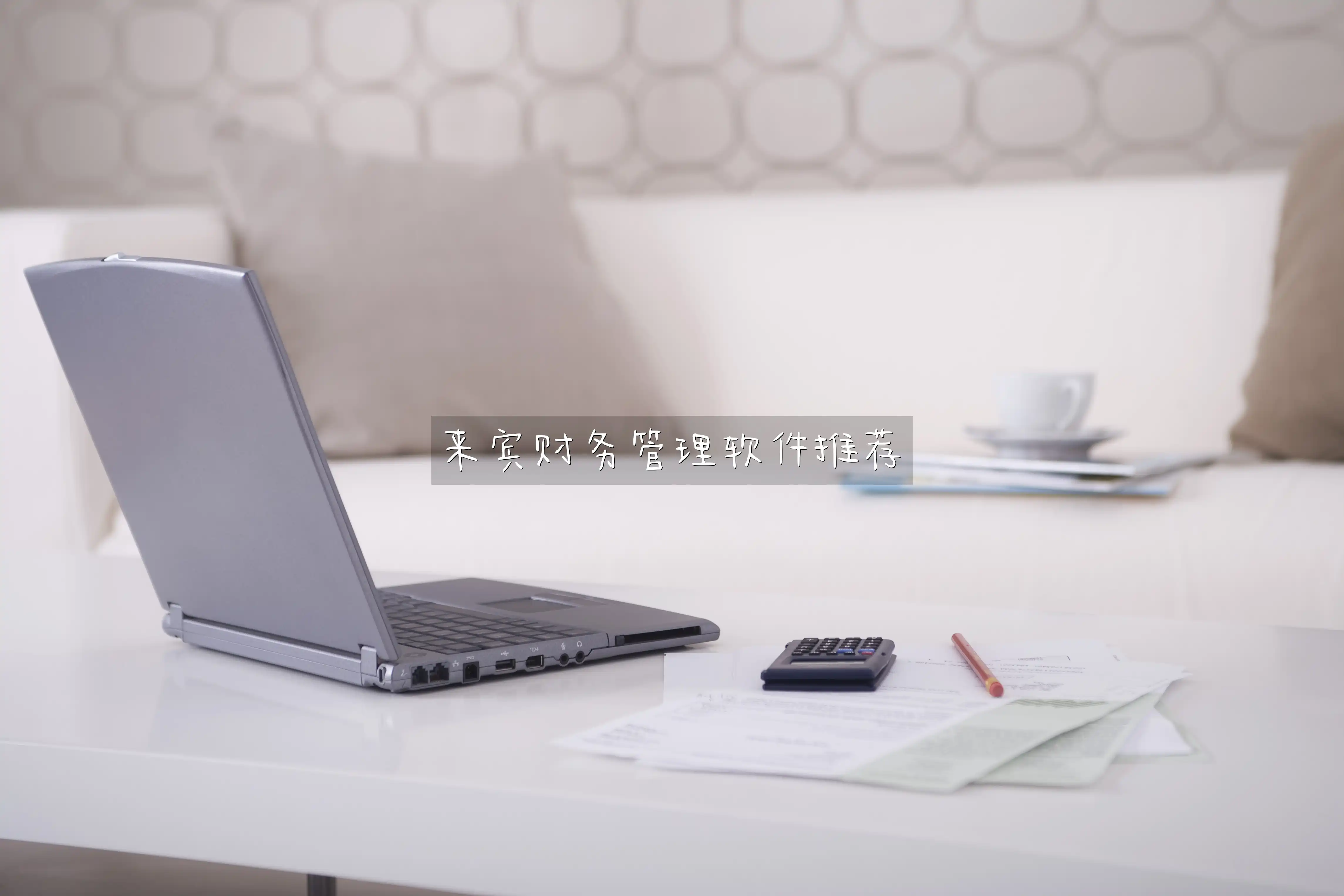 来宾财务管理软件推荐