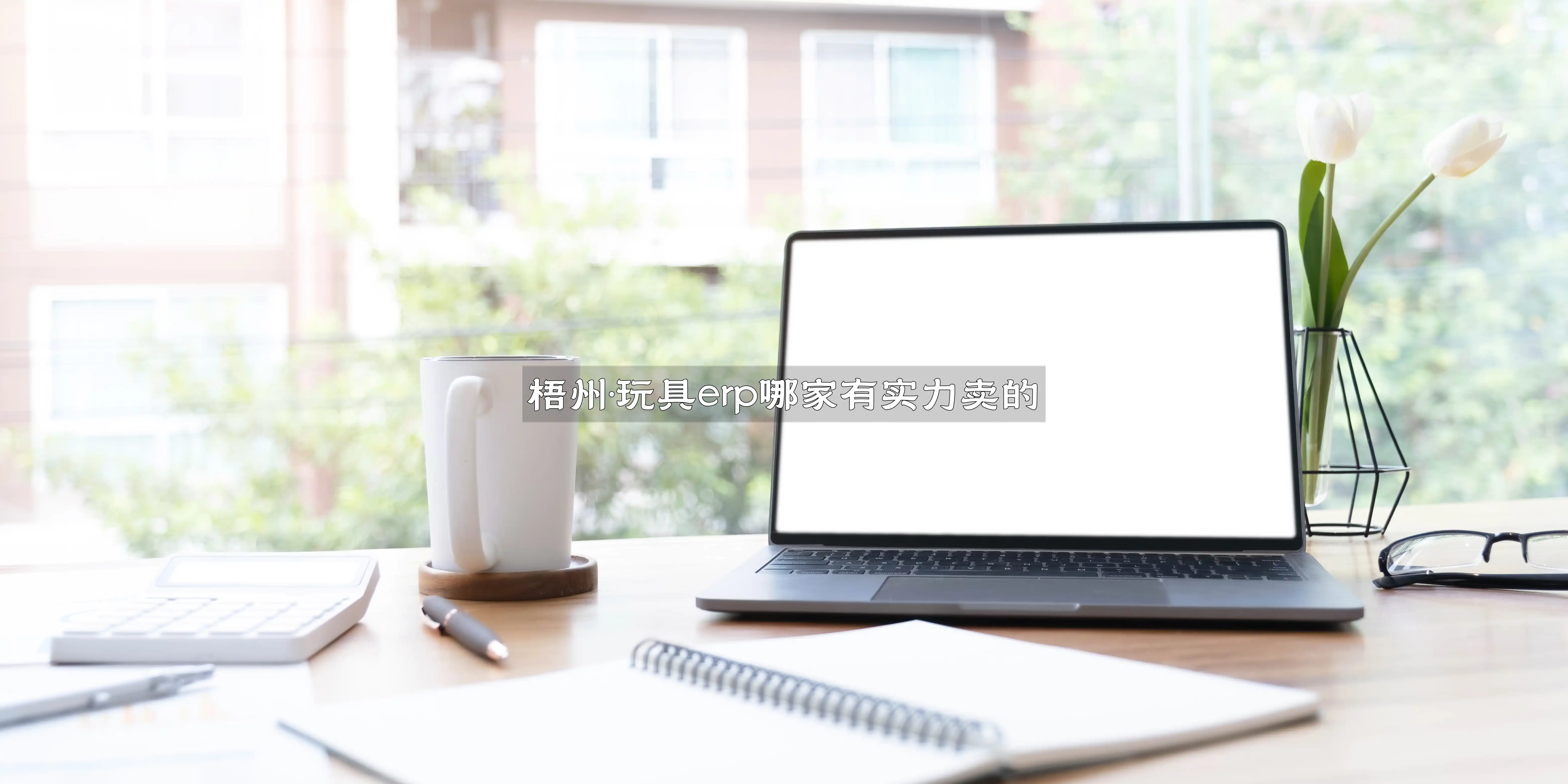 梧州·玩具erp哪家有实力卖的