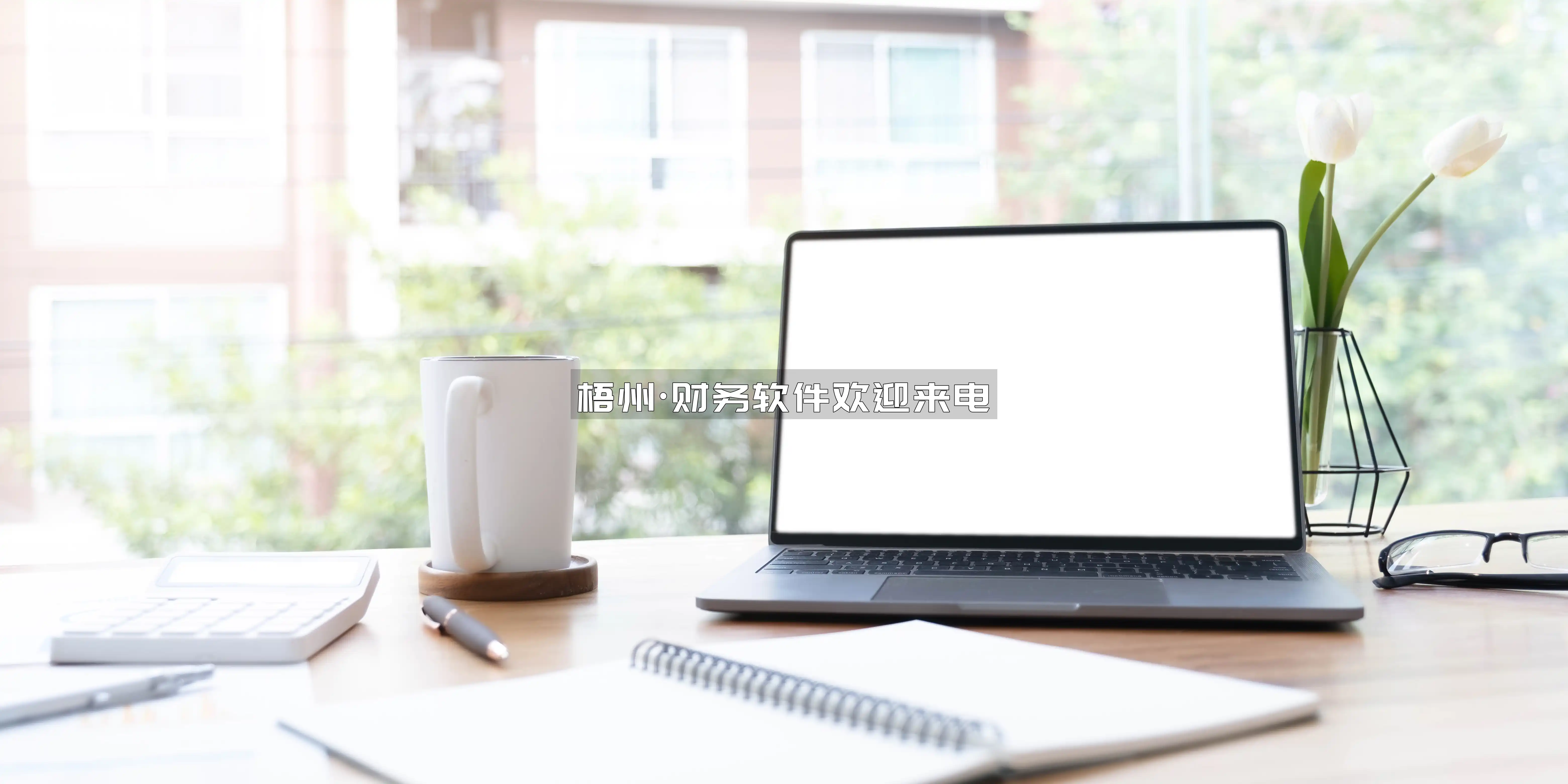 梧州·财务软件欢迎来电