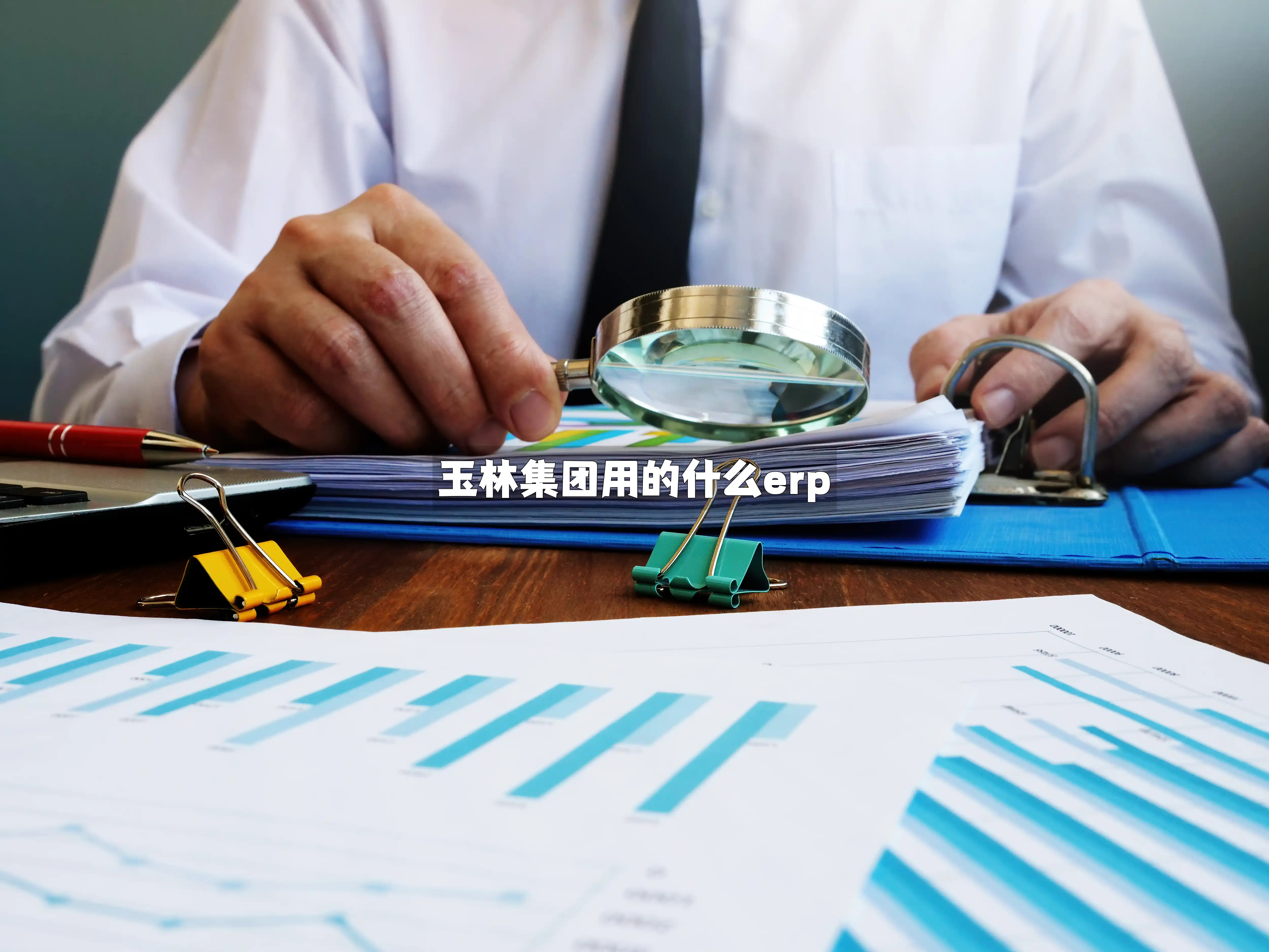 玉林集团用的什么erp