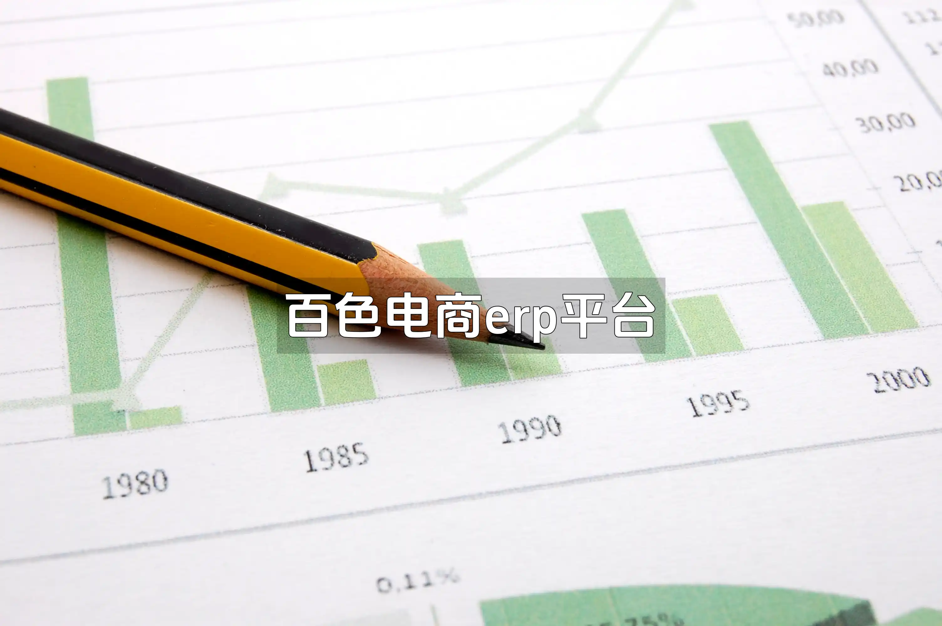 百色电商erp平台