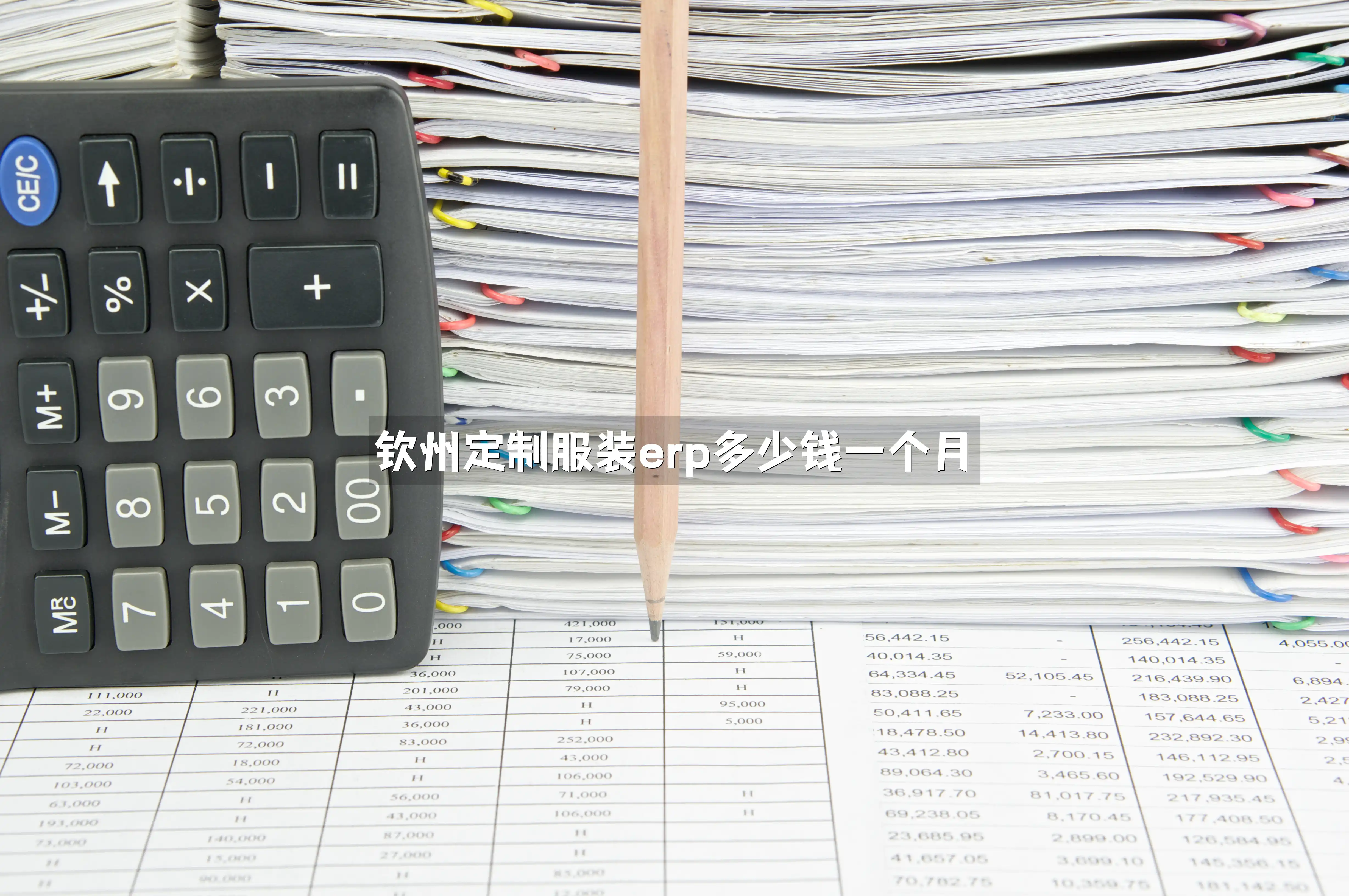 钦州定制服装erp多少钱一个月