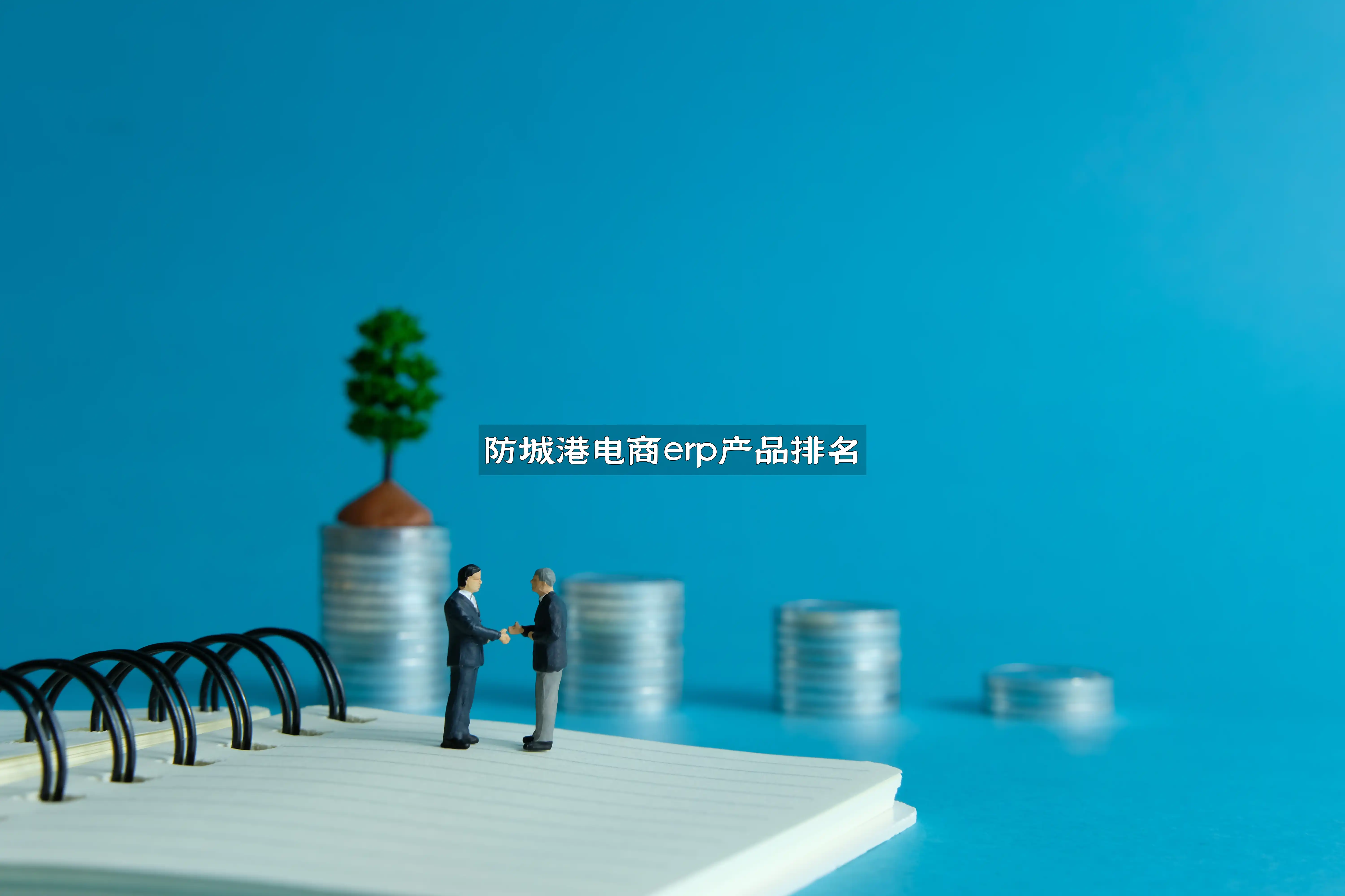 防城港电商erp产品排名