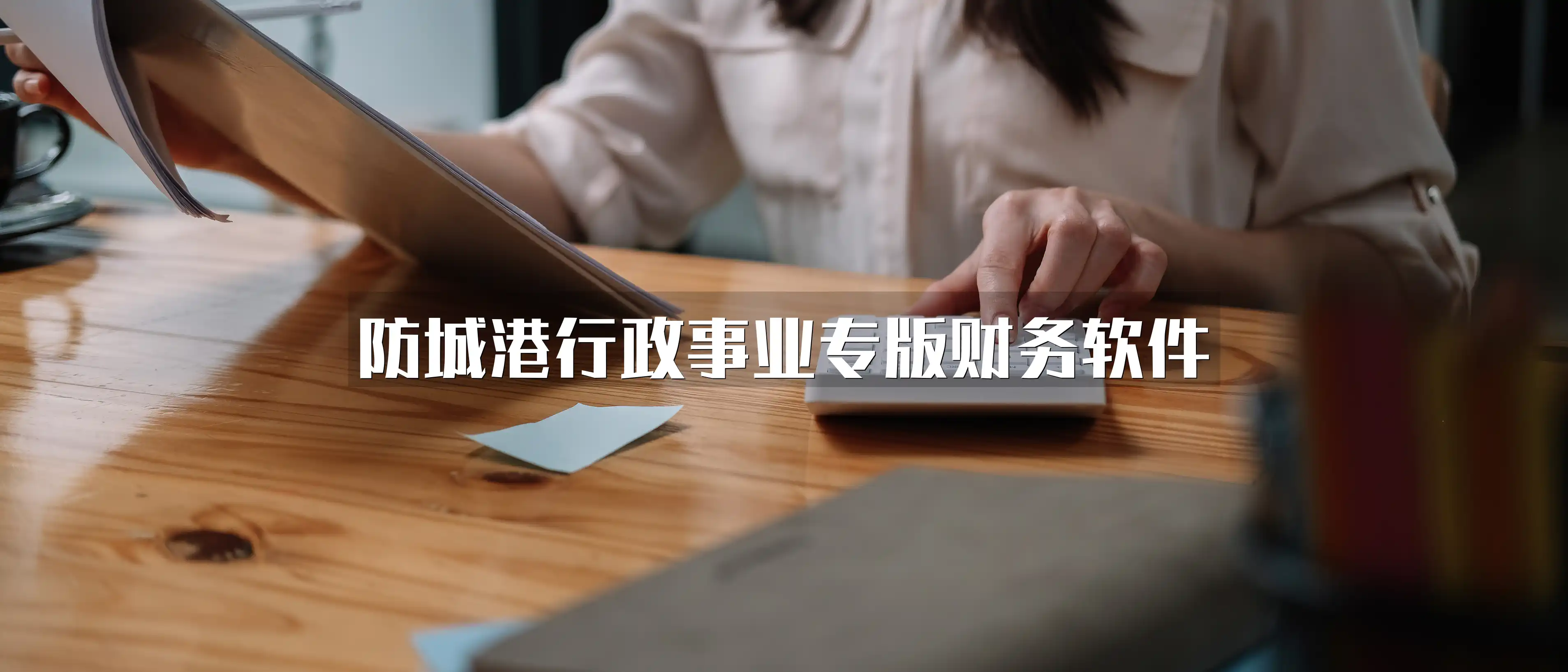 防城港行政事业专版财务软件